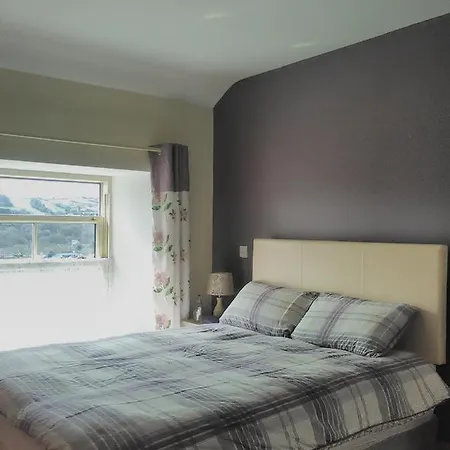 Farm Bed and breakfast